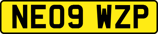 NE09WZP