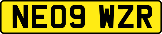 NE09WZR