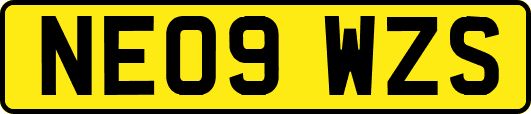 NE09WZS