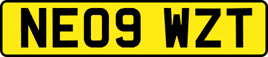 NE09WZT
