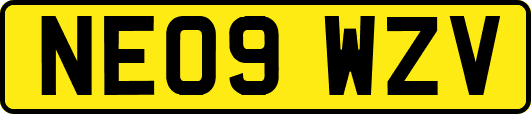 NE09WZV