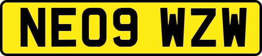 NE09WZW