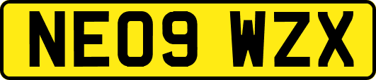 NE09WZX