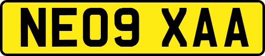 NE09XAA