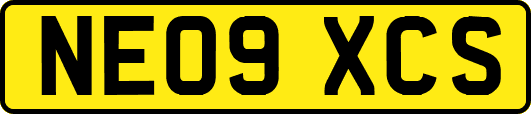 NE09XCS