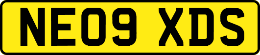 NE09XDS