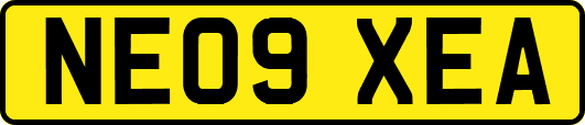 NE09XEA