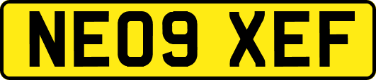 NE09XEF