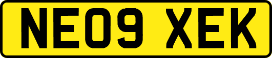 NE09XEK