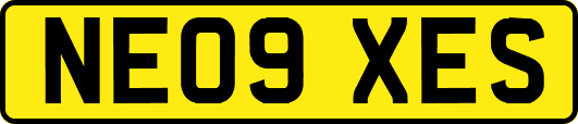 NE09XES