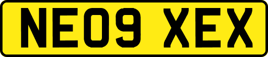 NE09XEX