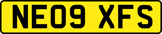 NE09XFS