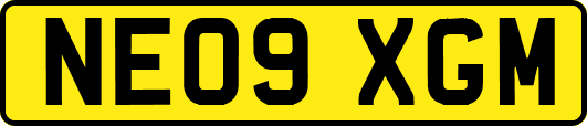 NE09XGM