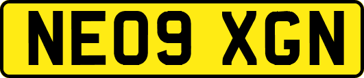 NE09XGN
