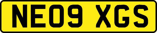 NE09XGS