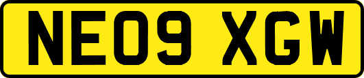 NE09XGW