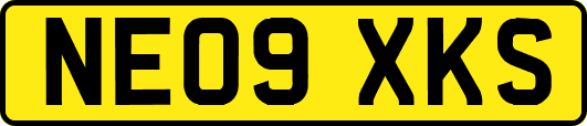 NE09XKS