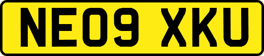 NE09XKU