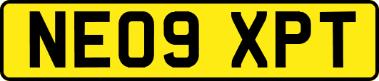 NE09XPT