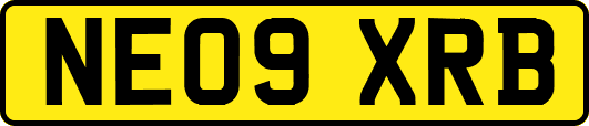 NE09XRB