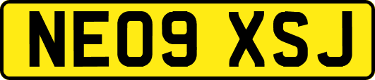 NE09XSJ