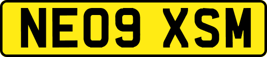 NE09XSM