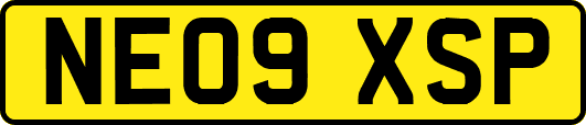 NE09XSP