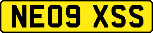 NE09XSS