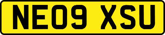 NE09XSU