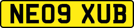 NE09XUB
