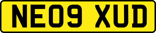 NE09XUD