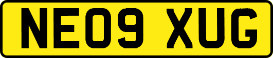 NE09XUG