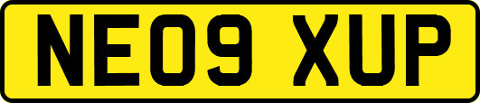 NE09XUP