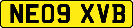 NE09XVB