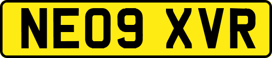 NE09XVR