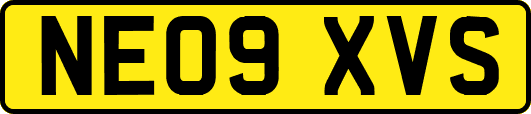 NE09XVS