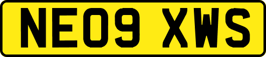 NE09XWS