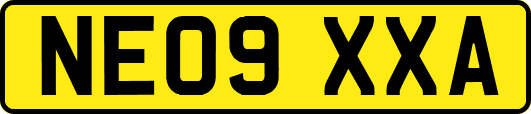 NE09XXA