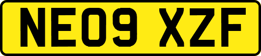 NE09XZF
