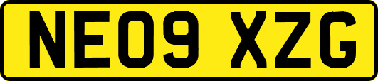 NE09XZG