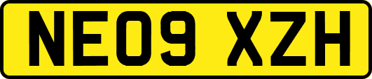 NE09XZH