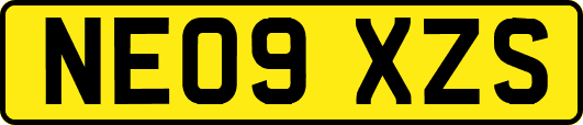 NE09XZS