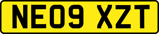 NE09XZT