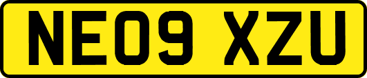 NE09XZU