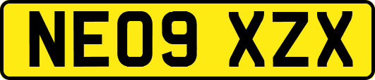 NE09XZX