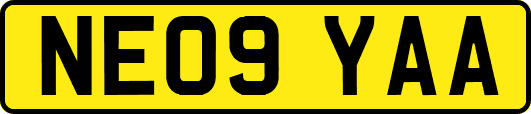 NE09YAA