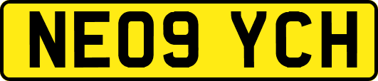 NE09YCH
