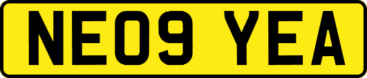 NE09YEA