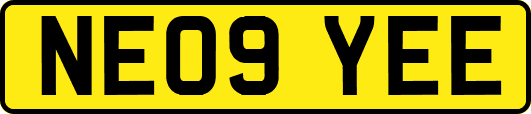 NE09YEE