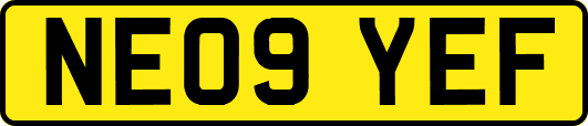 NE09YEF